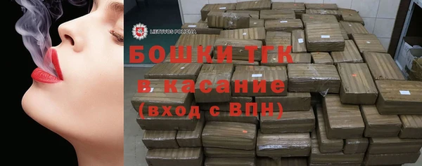 винт Абаза