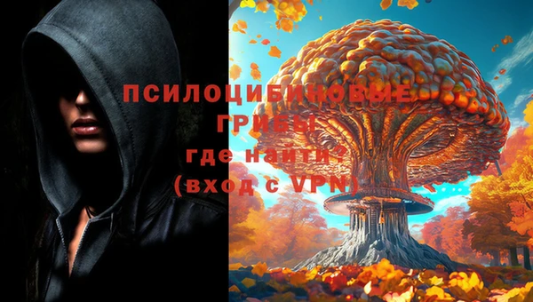 хмурый Абинск