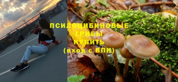 винт Абаза