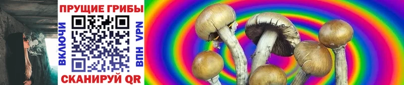 Псилоцибиновые грибы прущие грибы  omg tor  Янаул 